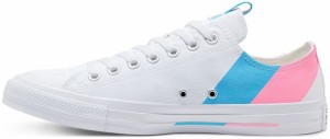 Converse Chuck Taylor Pride All Star Low Top galéria