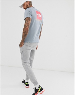 The North Face M S/S Redbox Tee  - Eu Tradewinds Grey galéria