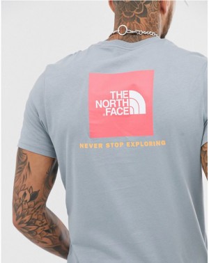 The North Face M S/S Redbox Tee  - Eu Tradewinds Grey galéria