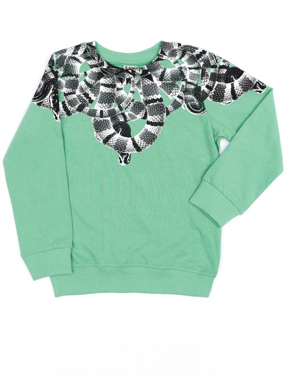 Boys´ green sweatshirt with print