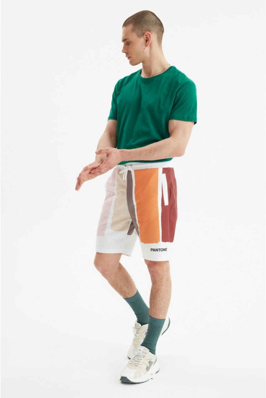 Trendyol Multi Color Men Regular Fit Licensed Pantone Shorts & Bermuda
