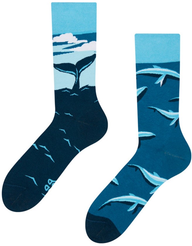 Kék zokni Whale