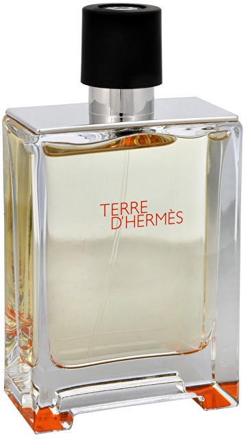 Hermes Terre D´ Hermes - EDT TESZTER 100 ml