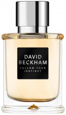 David Beckham Follow Your Instinct - EDT 50 ml galéria