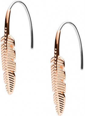 Fossil Bronz toll fülbevalók  Classics JF03668791 galéria